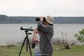 Looking for Swallows